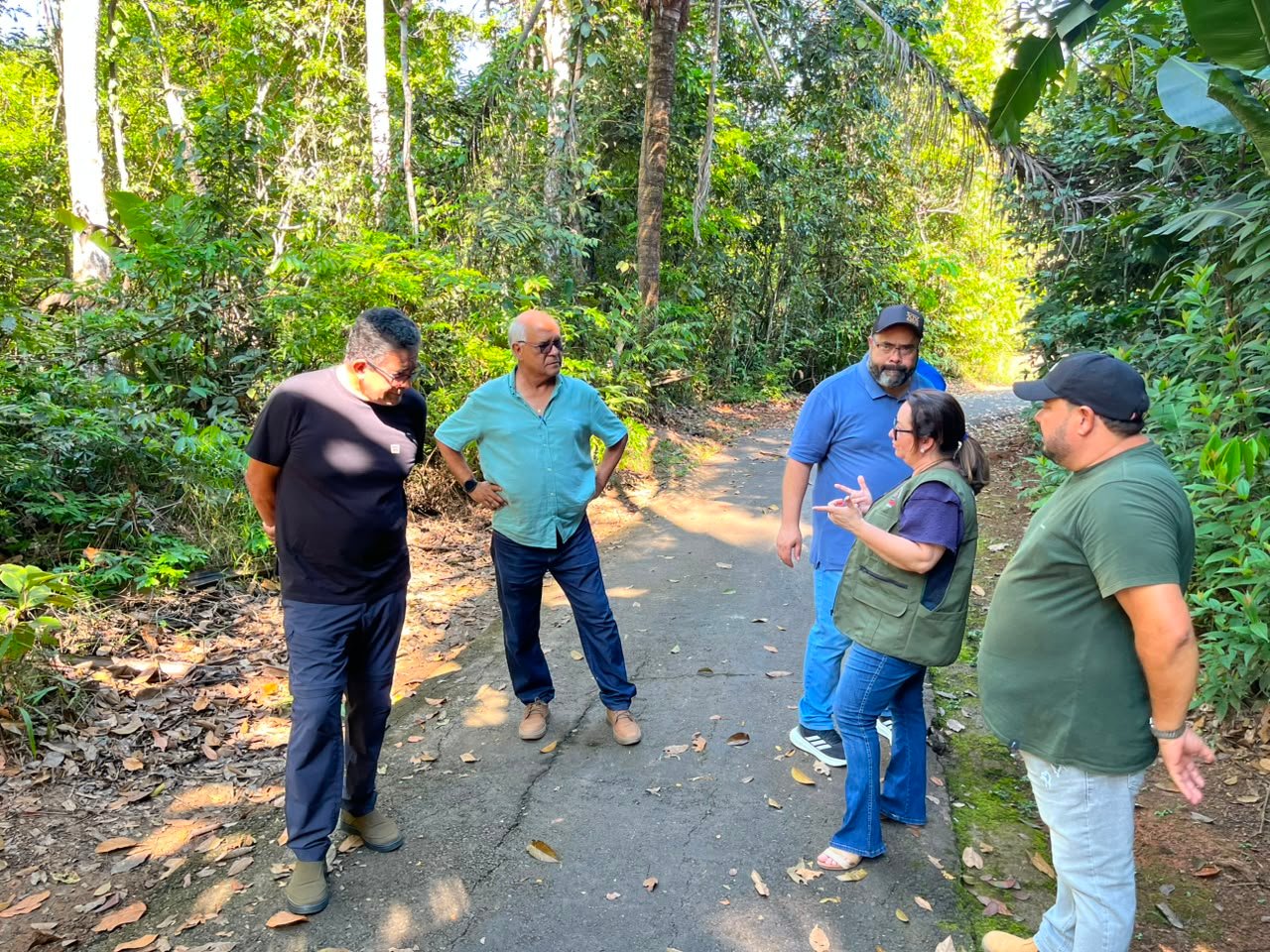 Parque Chico Mendes se prepara para os 30 anos com obras de revitalização