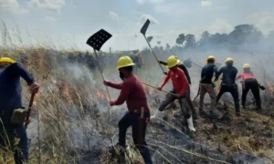 Acre comprará quadriciclos para combater incêndios florestais