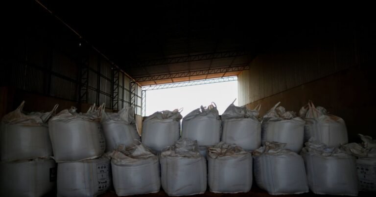 Último terço da compra de fertilizantes concentra risco para safra de soja