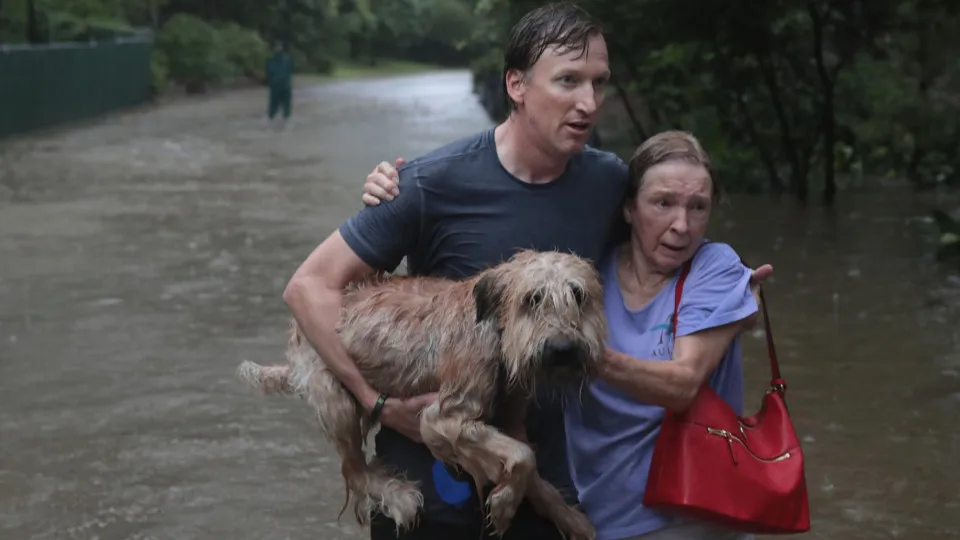 Chuva e ventos fortes: Como se preparar para temporais