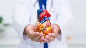 Cardiologistas destacam alimento que pode ajudar a proteger o coração