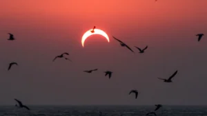 Coisas estranhas que ocorrem durante um Eclipse Solar
