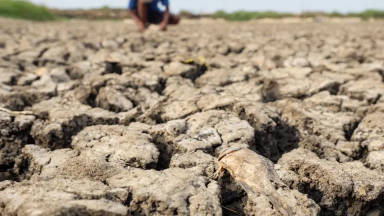 Agência climática prevê 90% de chance de El Niño muito forte