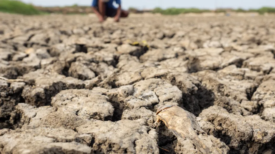 Agência climática prevê 90% de chance de El Niño muito forte