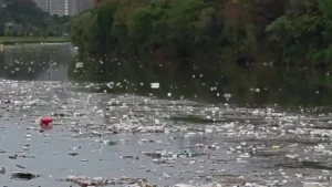 Grande volume de lixo flutuando no rio Pinheiros chama atenção após forte chuva em SP