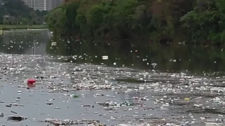 Grande volume de lixo flutuando no rio Pinheiros chama atenção após forte chuva em SP