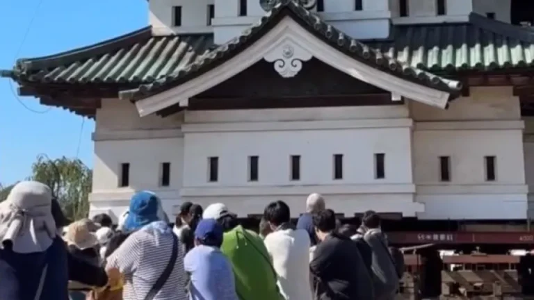 1.800 pessoas puxam castelo de 360 toneladas de volta ao lugar no Japão