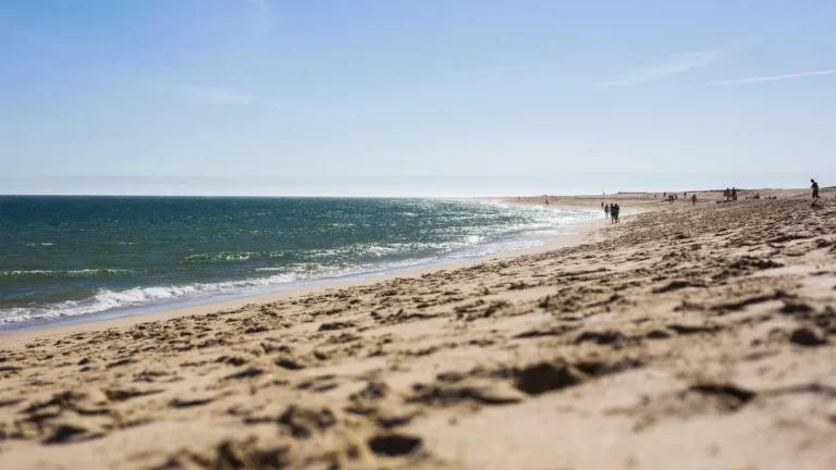 Cidade de SC conclui maior alargamento de praias do Brasil