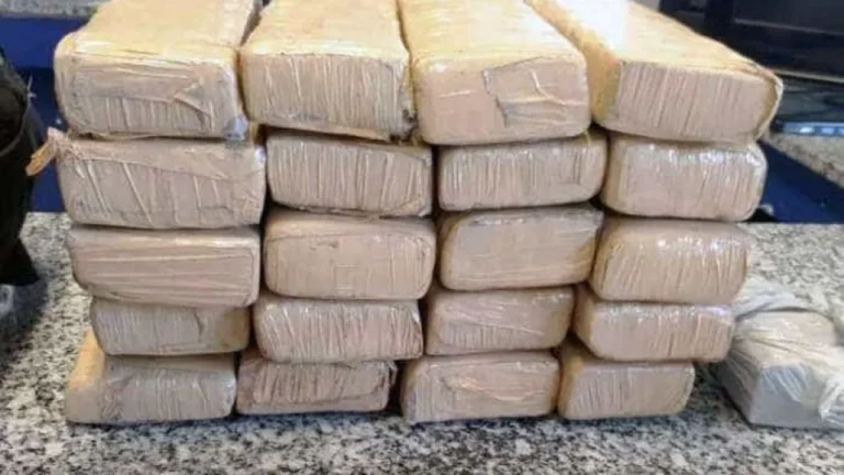 Polícia encontra duas toneladas de maconha em carga de repolho em SC