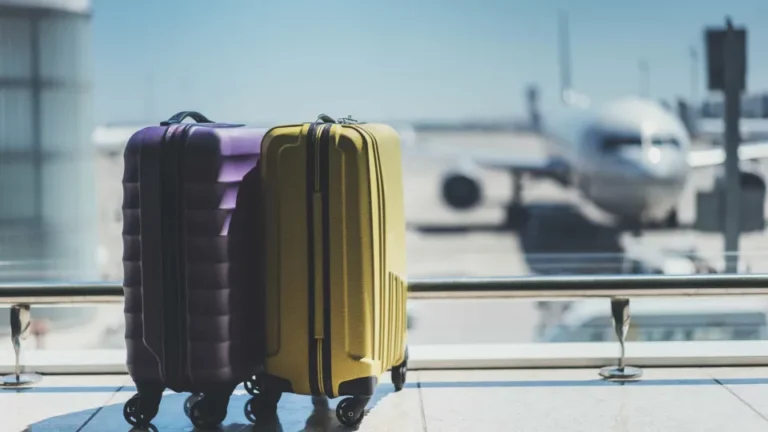 Punição inédita da Anac: homem é proibido de voar por 6 meses após expor órgão sexual em avião