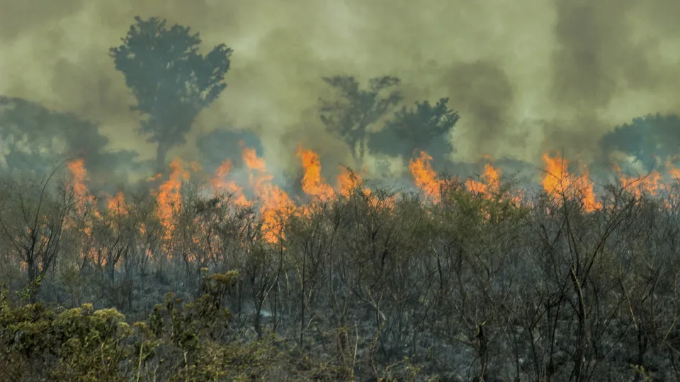 Incêndio de grandes proporções atinge área de proteção ambiental em Santarém, no Pará